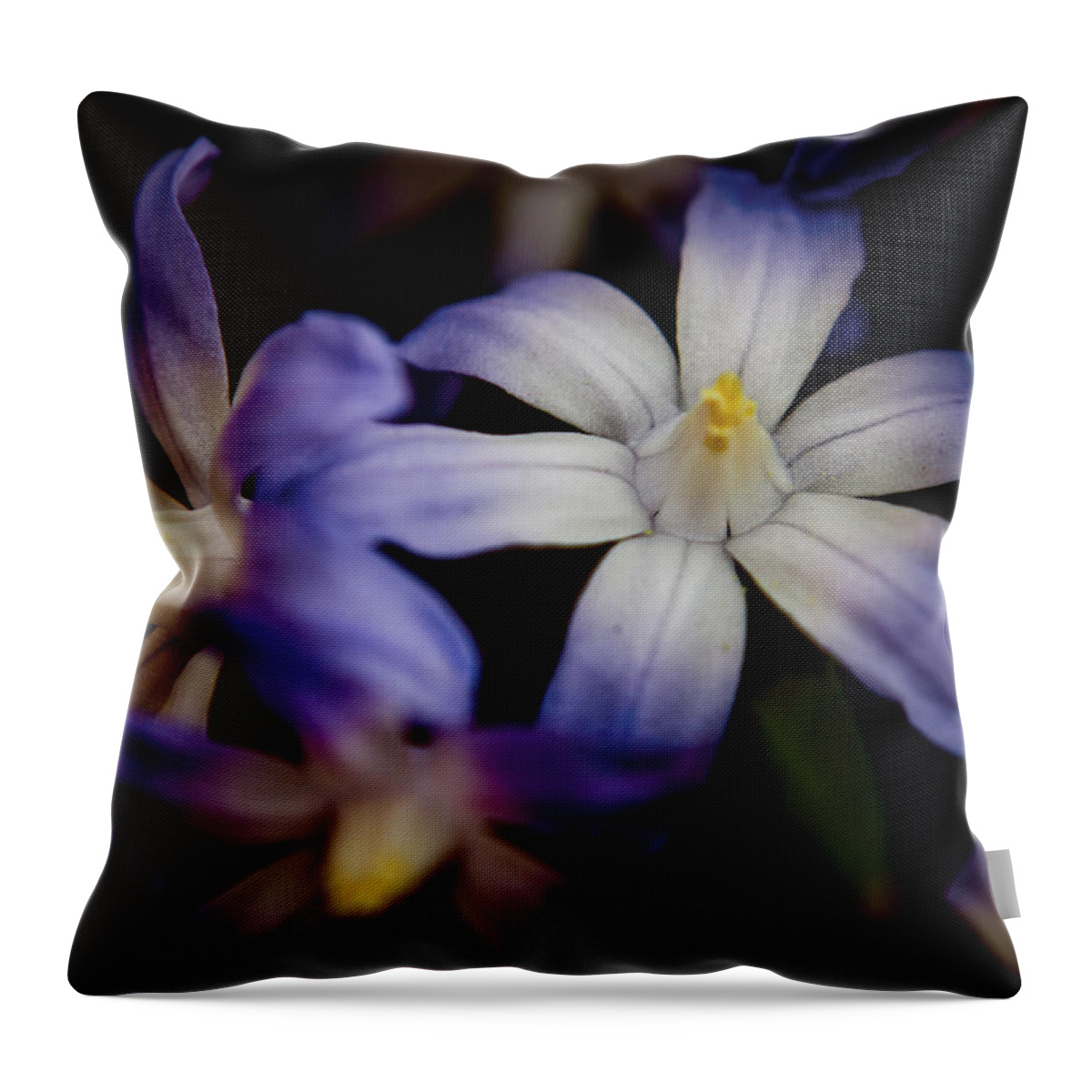 Glory Of The Snow Throw Pillow featuring the photograph Glory Of The Snow by Spikey Mouse Photography