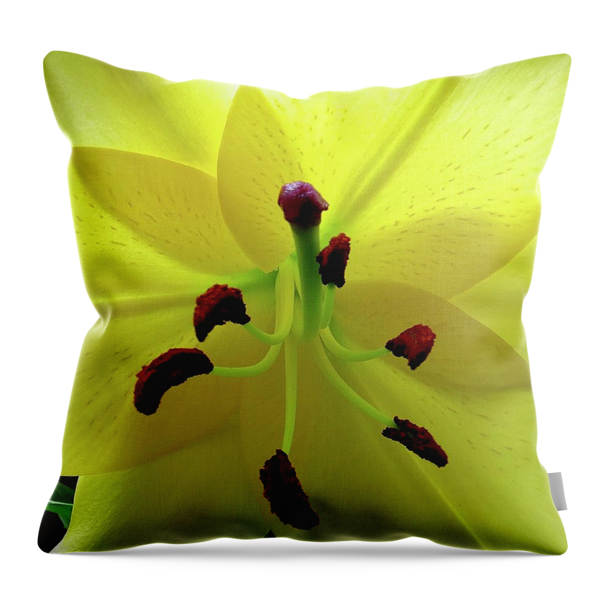 Flower Throw Pillow featuring the photograph Glowing Lily by Linda Stern