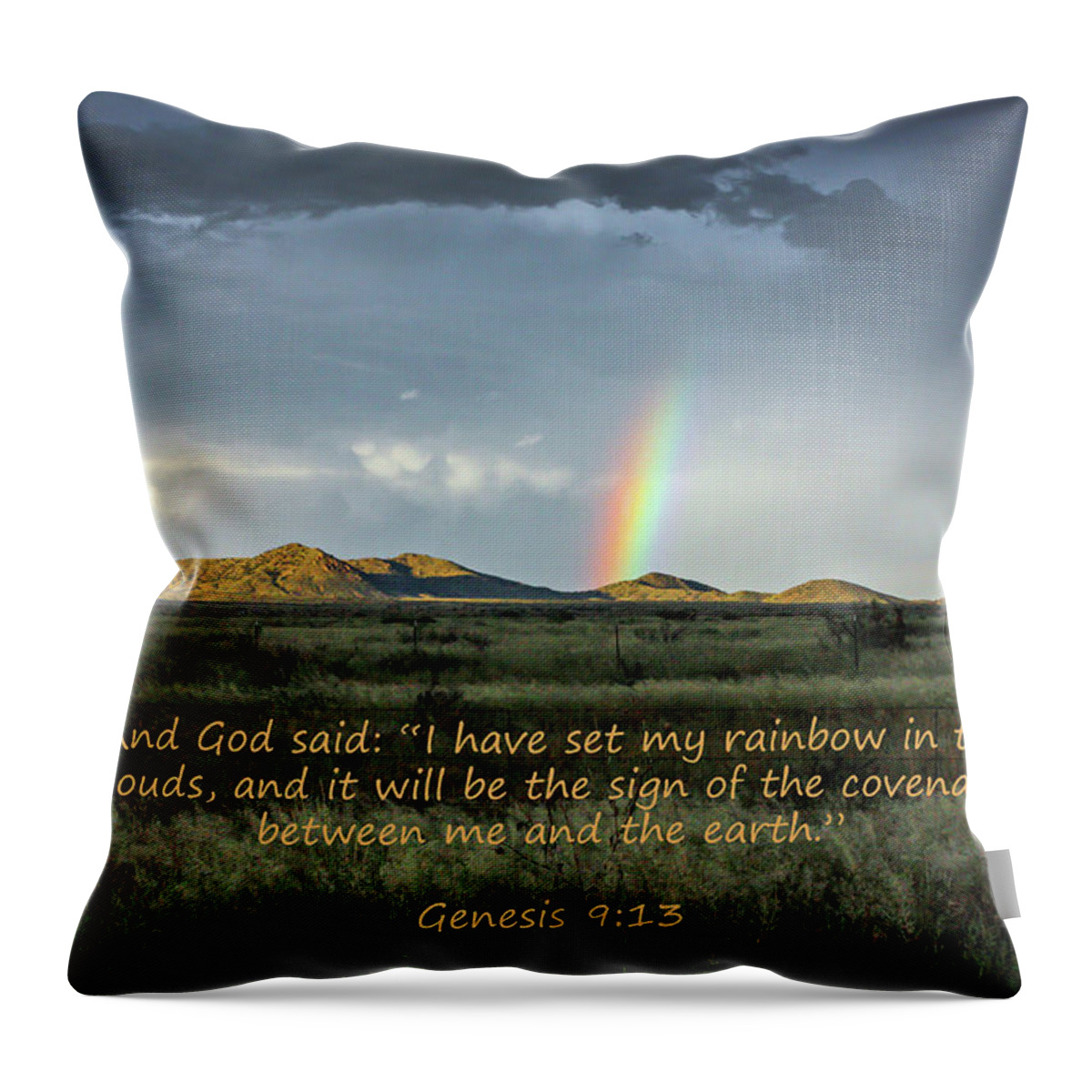 Arizona Throw Pillow featuring the photograph God's Covenant to the Earth by Lon Dittrick