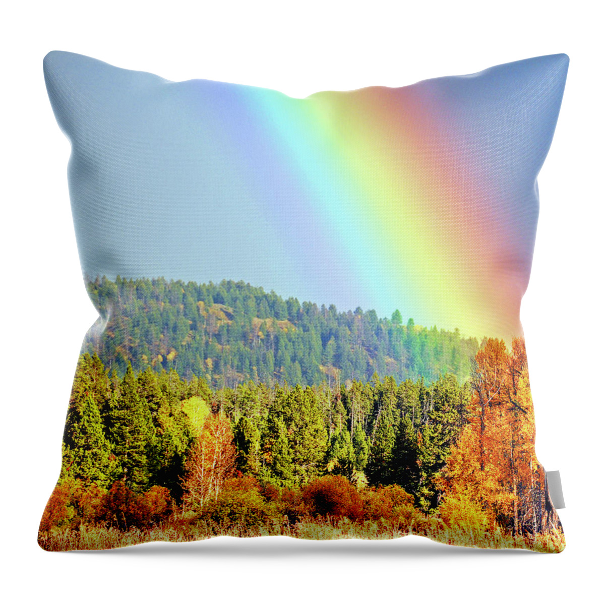 Gold Throw Pillow featuring the photograph Gold At the End of the Rainbow by Ted Keller
