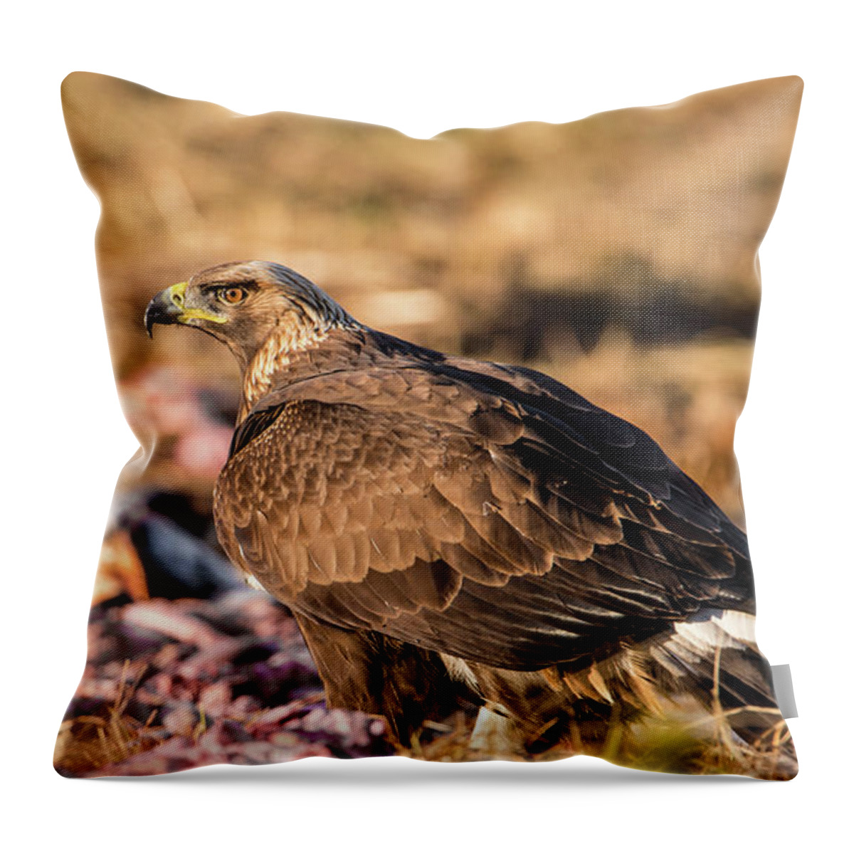 Golden Eagle Throw Pillow featuring the photograph Golden Eagle's Back by Torbjorn Swenelius