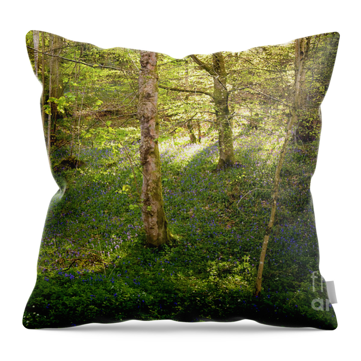 Bolton Abbey Throw Pillow featuring the photograph Golden hour in the woods by Mariusz Talarek