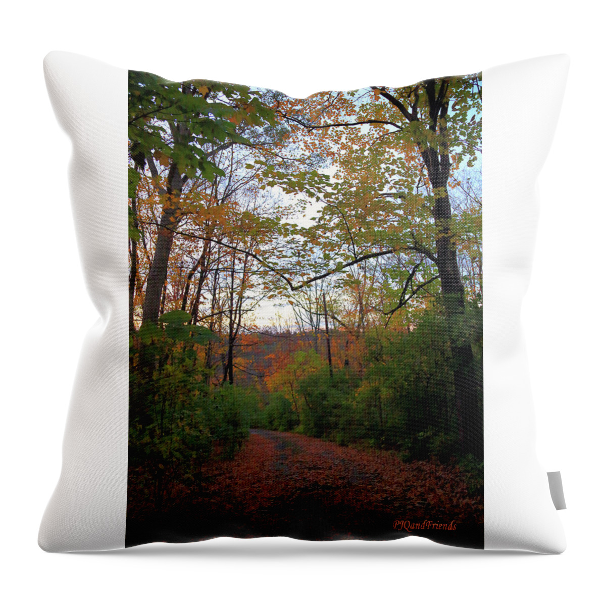 Golden Hour Of Autumn Throw Pillow featuring the photograph Golden Hour of Autumn by PJQandFriends Photography
