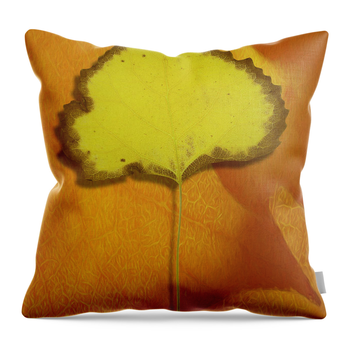 Desert Forest Garden Throw Pillow featuring the digital art Golden Oldie by Becky Titus