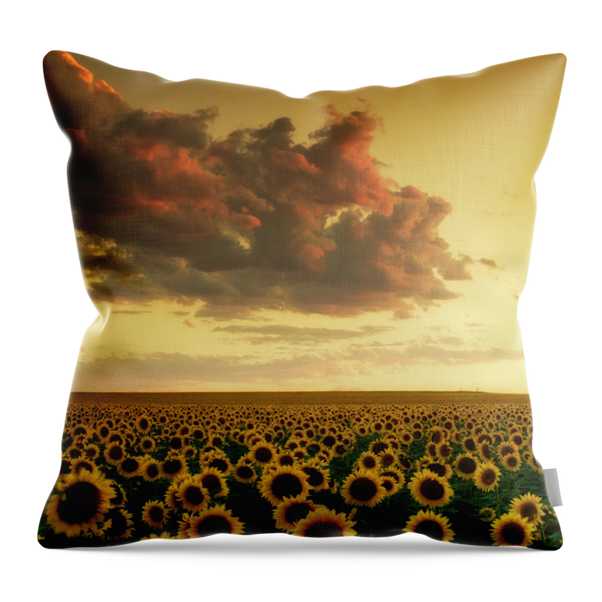 Colorado Throw Pillow featuring the photograph Golden Sunflower Skies by John De Bord