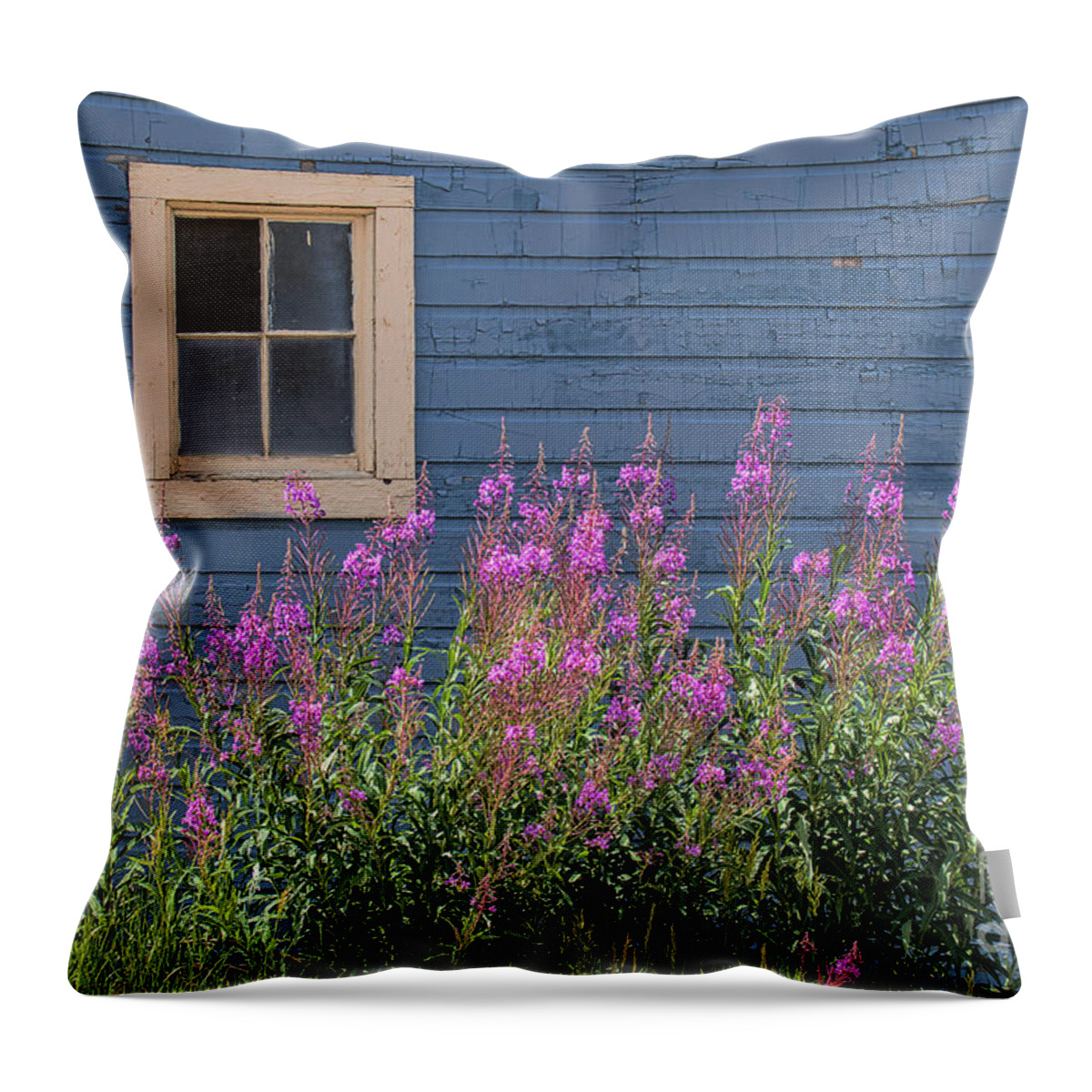 Fireweed Throw Pillow featuring the photograph Gone Missing by Jim Garrison