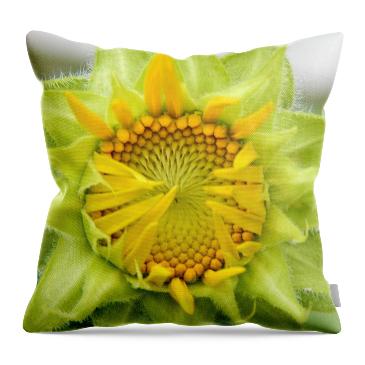 Flower Throw Pillow featuring the ceramic art Good Morning Sunshine by Jan Gelders