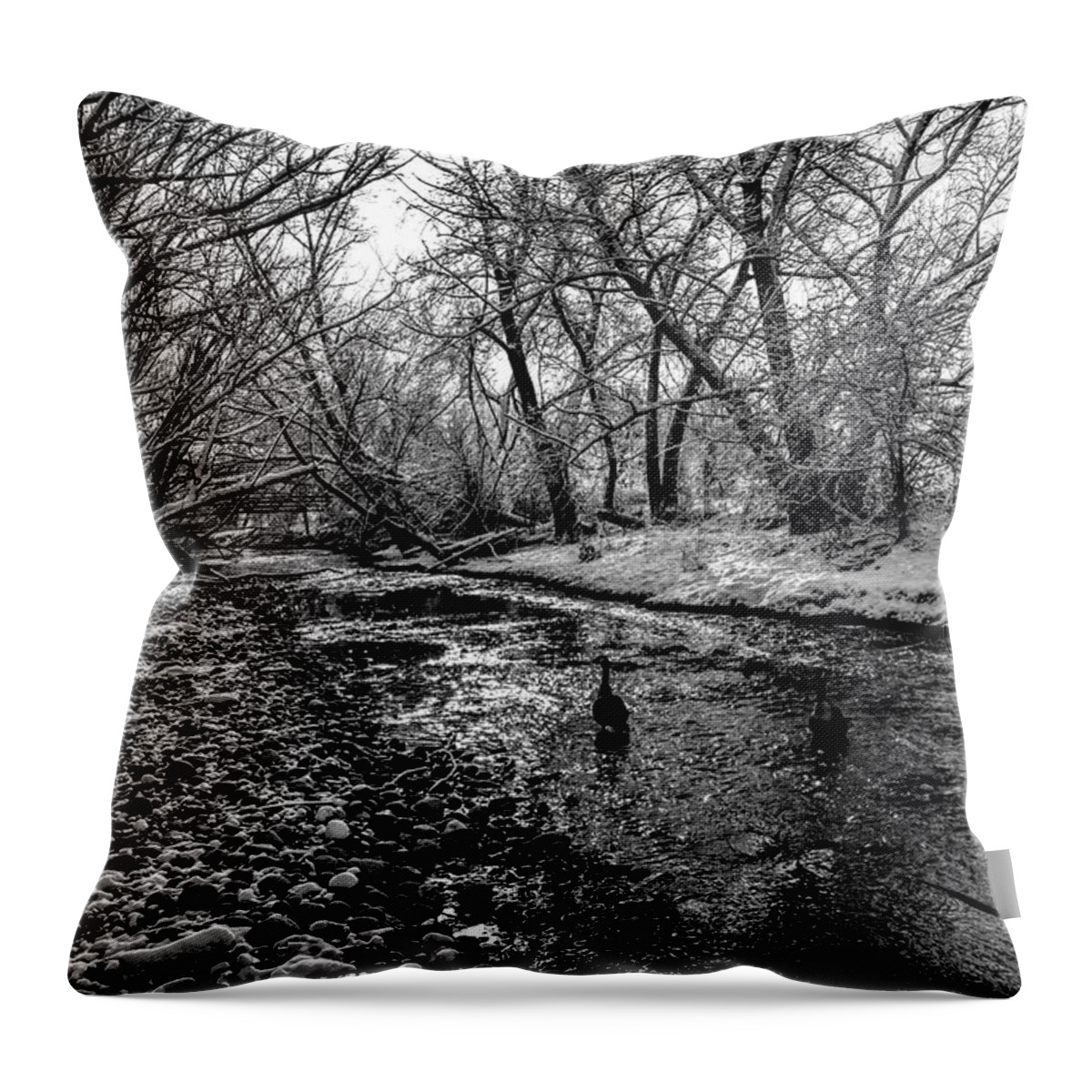 Black And White Throw Pillow featuring the photograph Goose Creek by Michael Brungardt