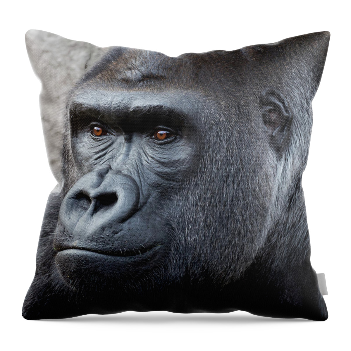 Gorillas in the Mist Throw Pillow by Robert Bellomy - Robert Bellomy -  Artist Website