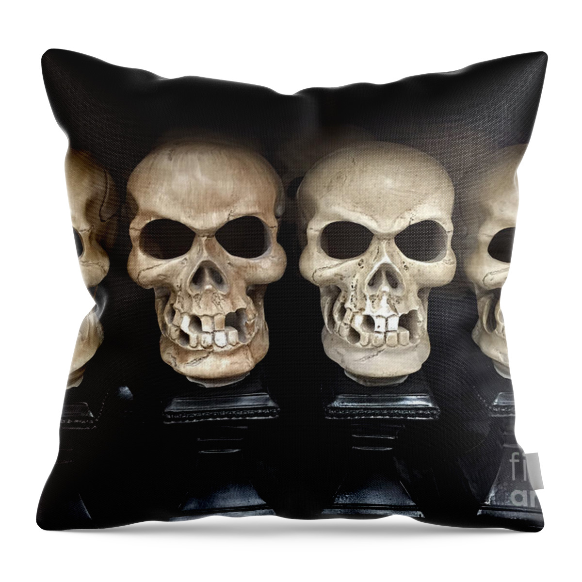 https://render.fineartamerica.com/images/rendered/default/throw-pillow/images/artworkimages/medium/1/gothic-skulls-skeleton-art-halloween-set-of-skulls-spooky-skeleton-heads-kathy-fornal.jpg?&targetx=-128&targety=-1&imagewidth=717&imageheight=479&modelwidth=479&modelheight=479&backgroundcolor=C8B79C&orientation=0&producttype=throwpillow-14-14