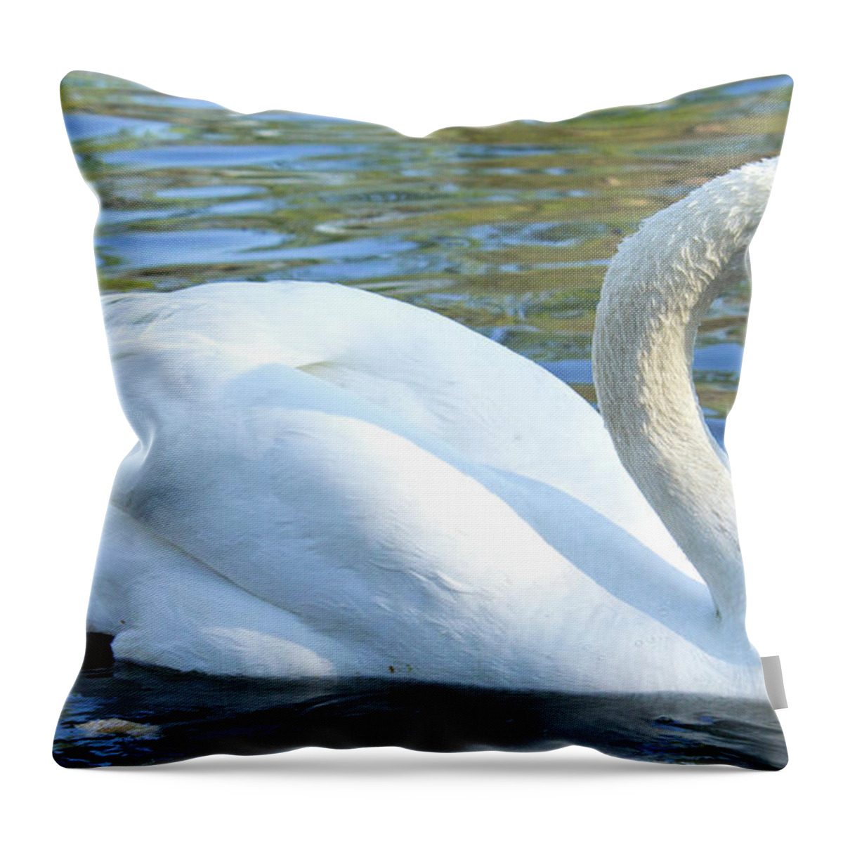 Swan Throw Pillow featuring the photograph Grace by Holly Ross