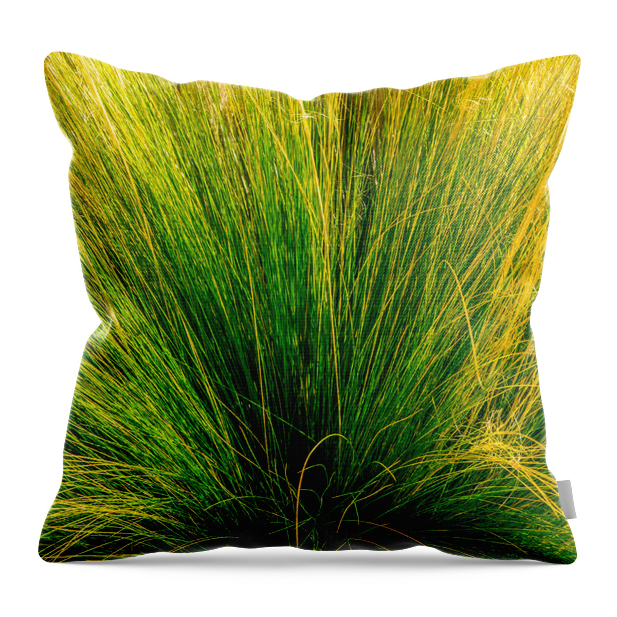 Grass Throw Pillow featuring the photograph Grass by Derek Dean