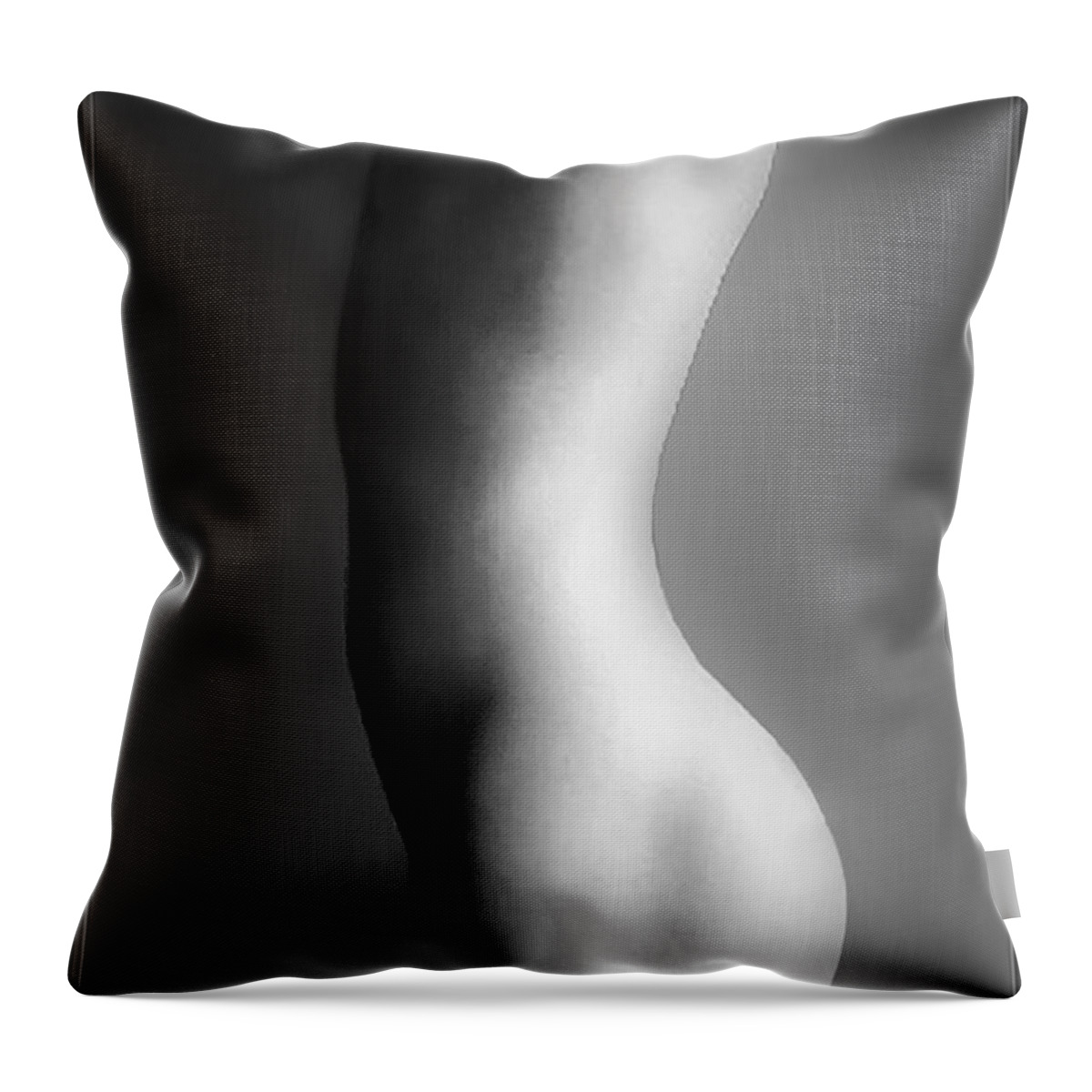  Throw Pillow featuring the digital art Andro by James Lanigan Thompson MFA