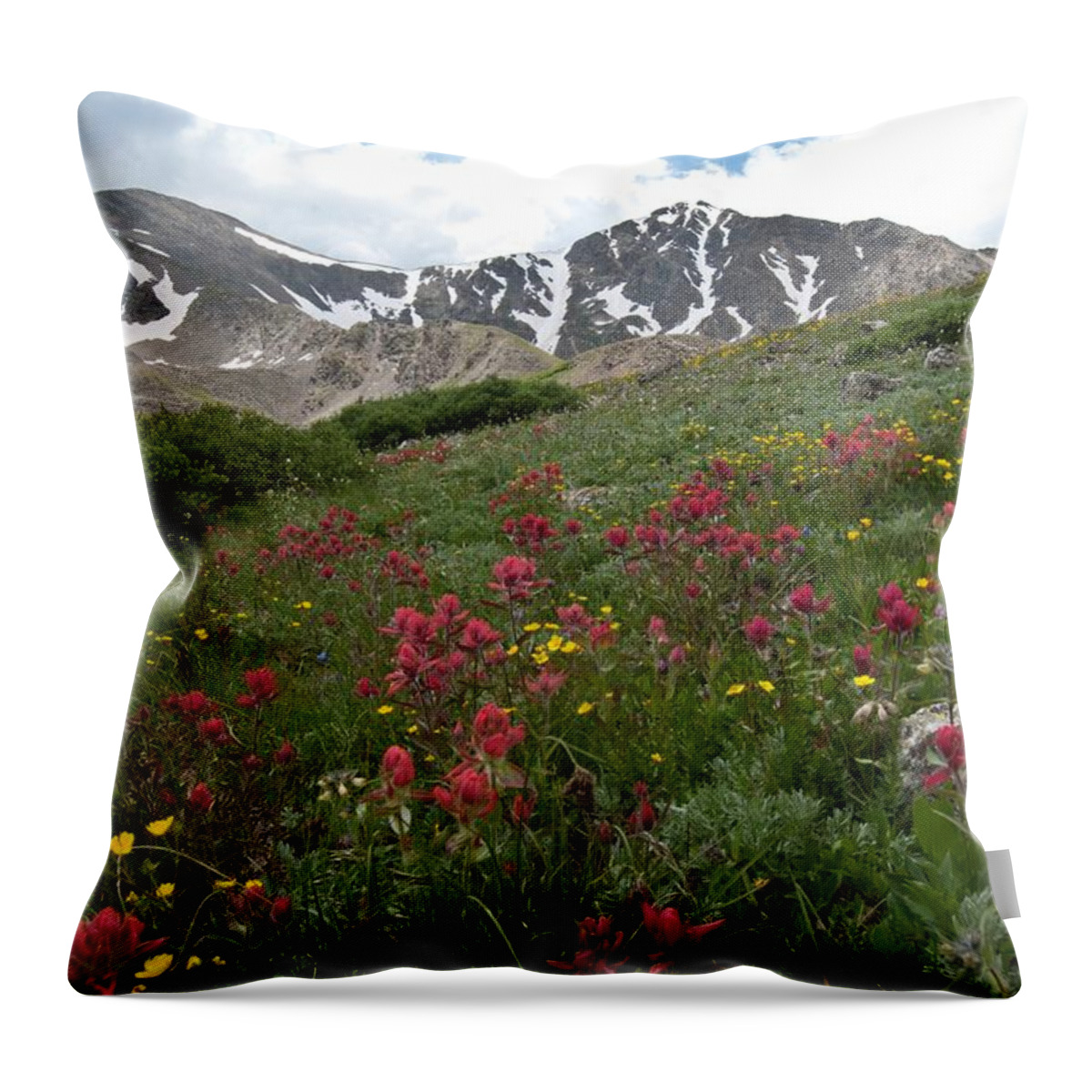 Gray's Peak Throw Pillow featuring the photograph Gray's and Torreys by Cascade Colors