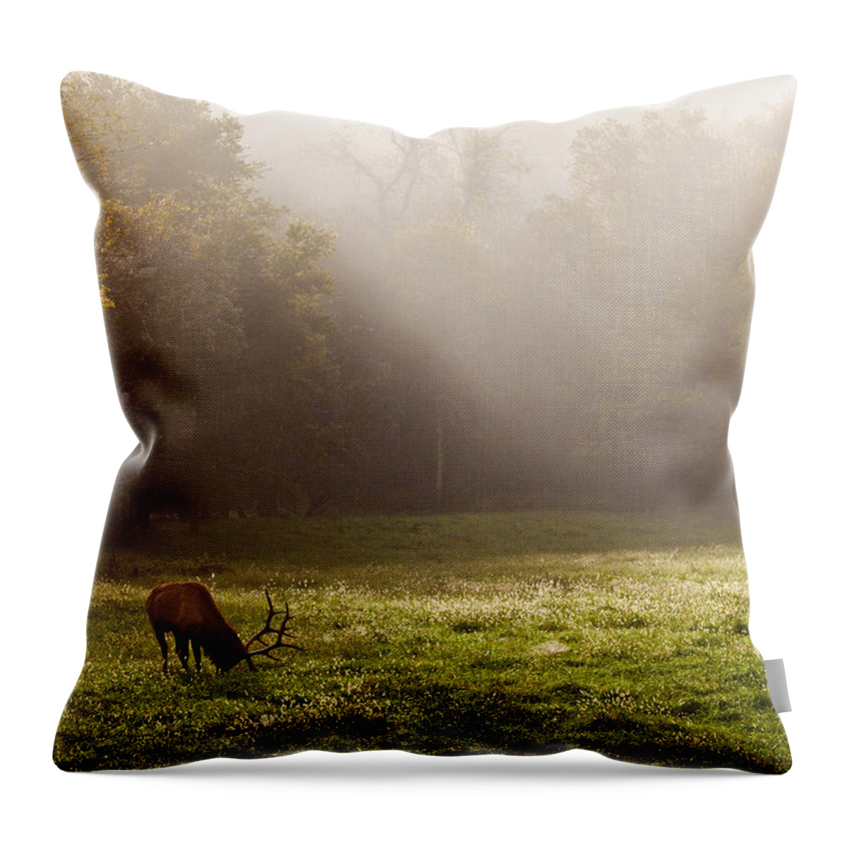 Bull Elk Throw Pillow featuring the photograph Grazing Bull Elk at Sunrise by Michael Dougherty