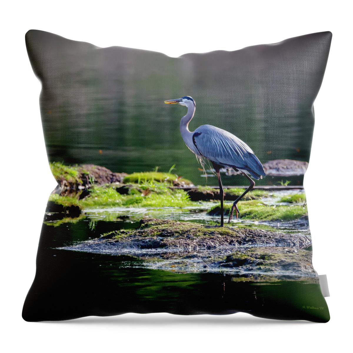 2d Throw Pillow featuring the photograph Great Blue Heron In Pond by Brian Wallace