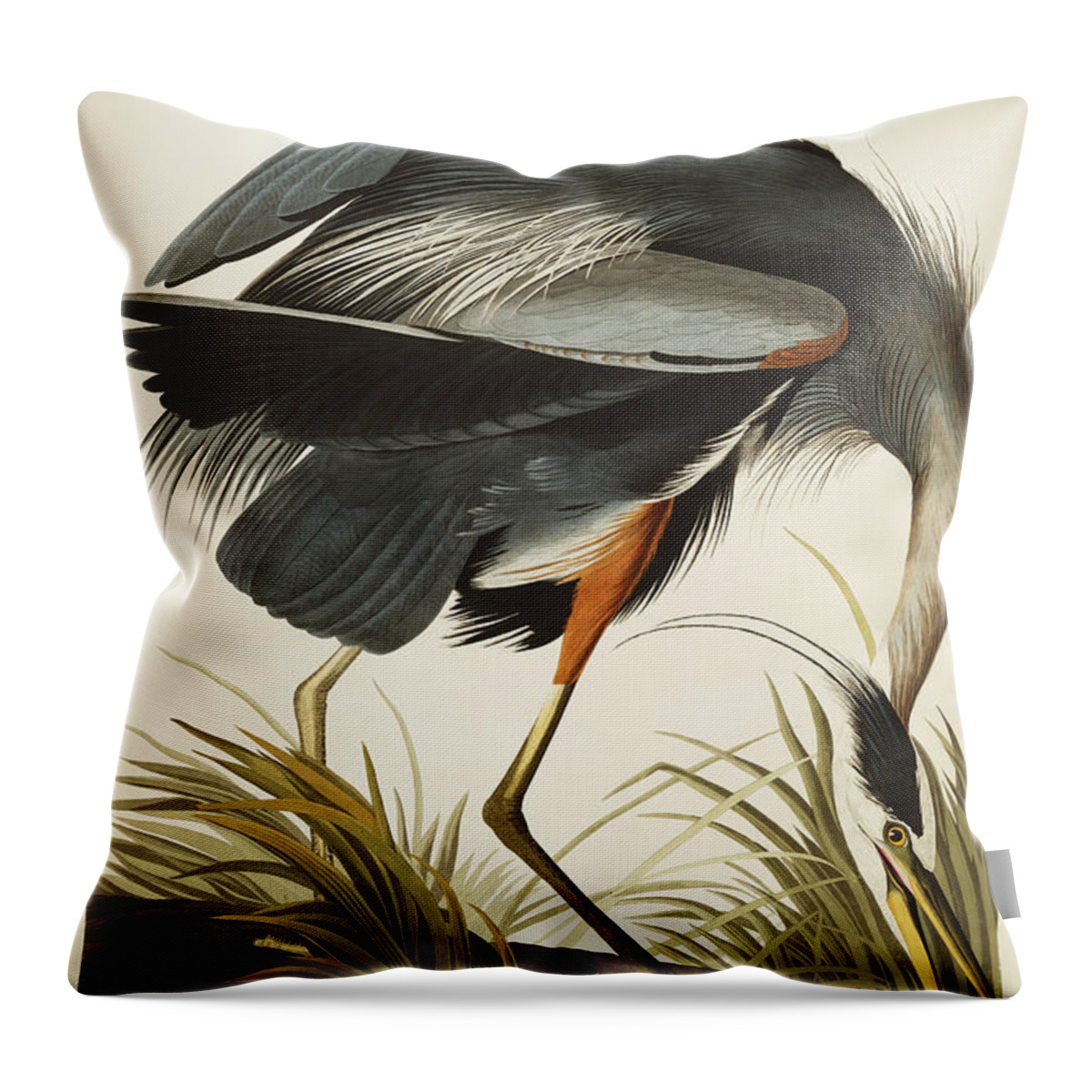 Great Blue Heron Throw Pillow featuring the drawing Great Blue Heron by John James Audubon