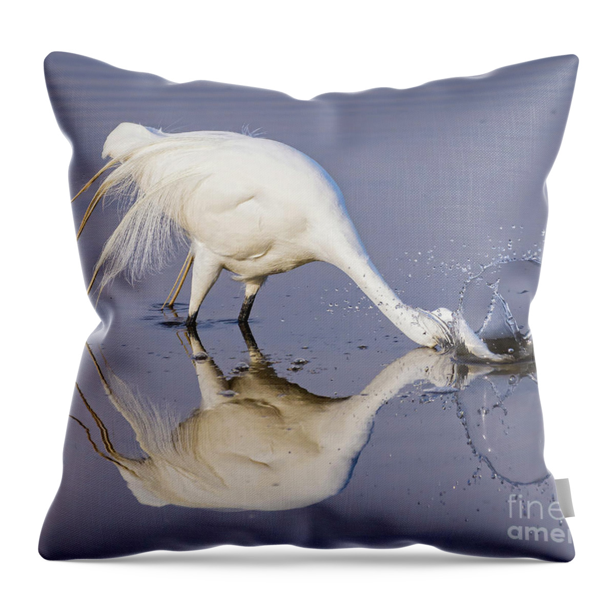 Egrets Throw Pillow featuring the photograph Great Egret Dipping For Food by DB Hayes