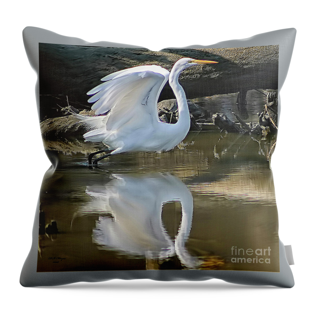 Egret Throw Pillow featuring the photograph Great Egret Lifting Off by DB Hayes