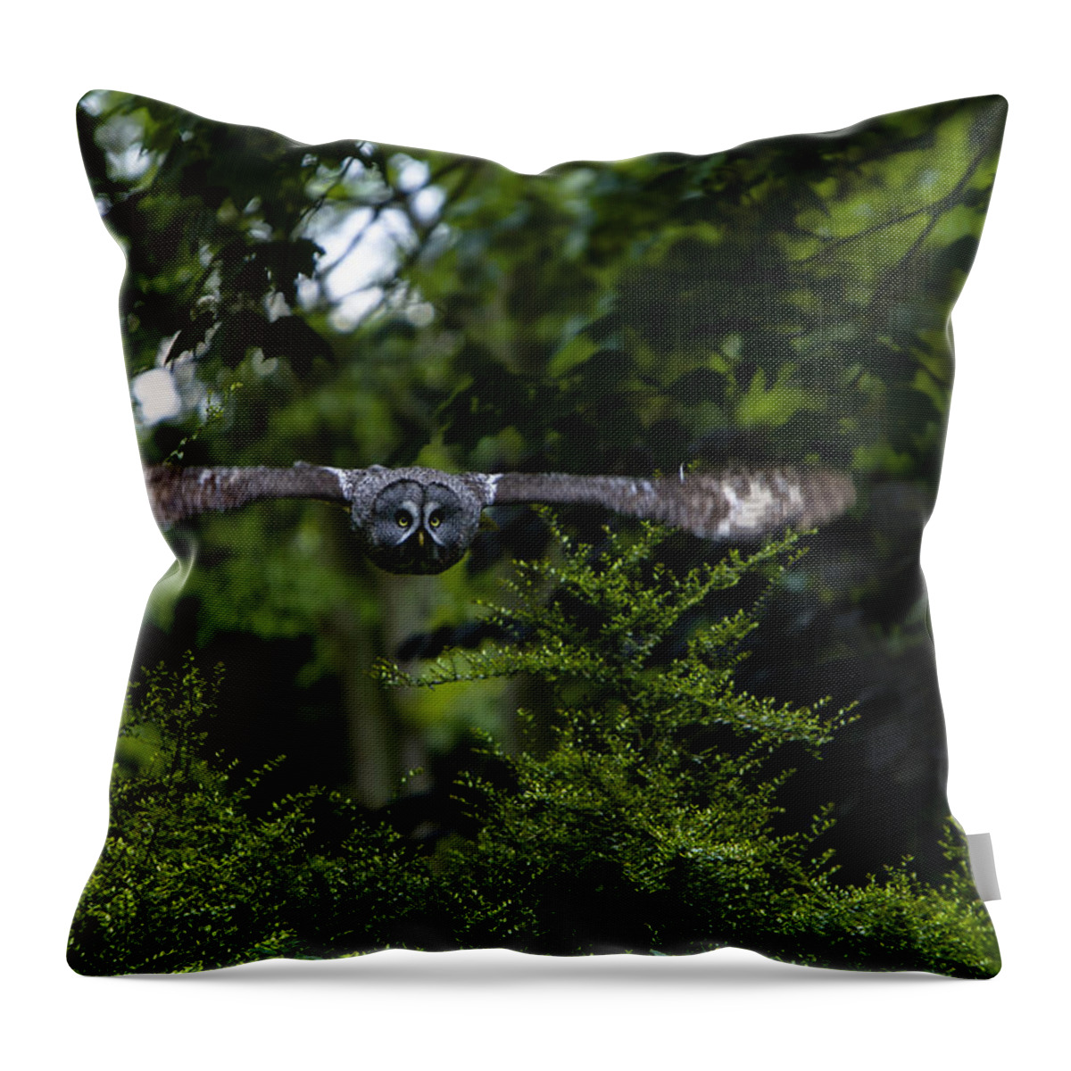Great Grey Owl Throw Pillow featuring the photograph Great Grey Owl in Flight by Andy Myatt