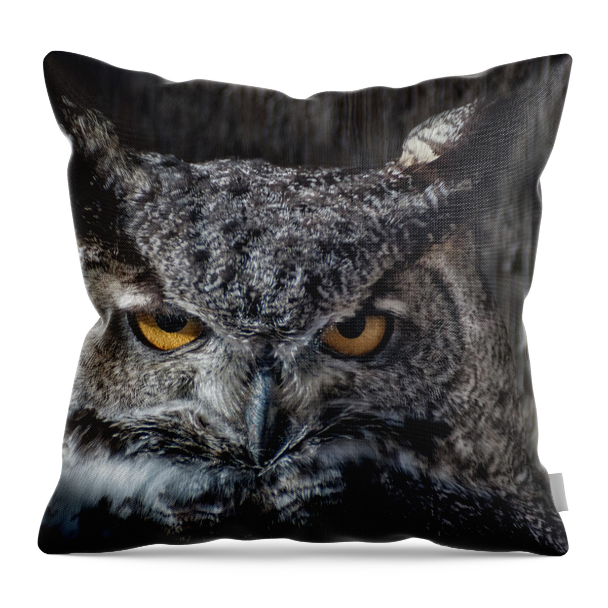 Animal Ark Throw Pillow featuring the photograph Great Horned Owl by Rick Mosher