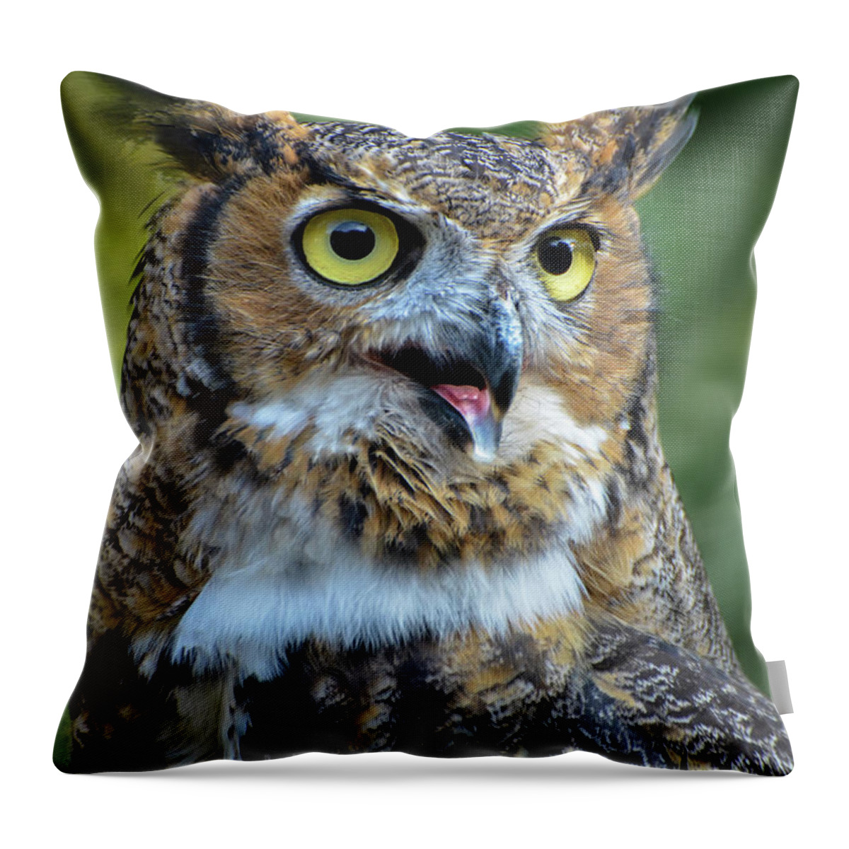Great Horned Owl Throw Pillow featuring the photograph Great Horned Owl Smiling by Amy Porter