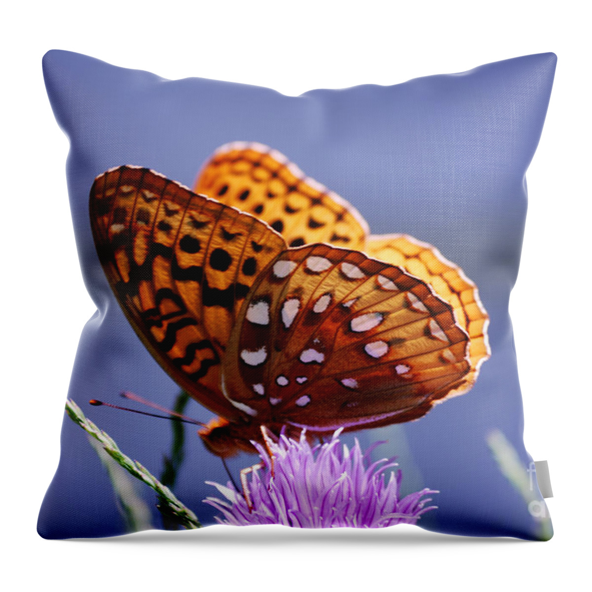 Fritillary Throw Pillow featuring the photograph Great Spangled Fritillary by Randy Bodkins