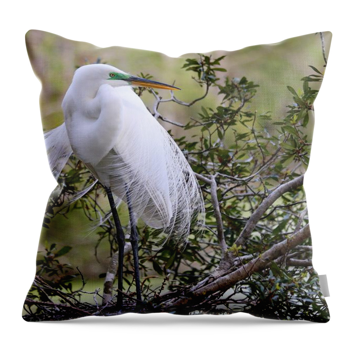 Carol R Montoya Throw Pillow featuring the photograph Great White Egret by Carol Montoya
