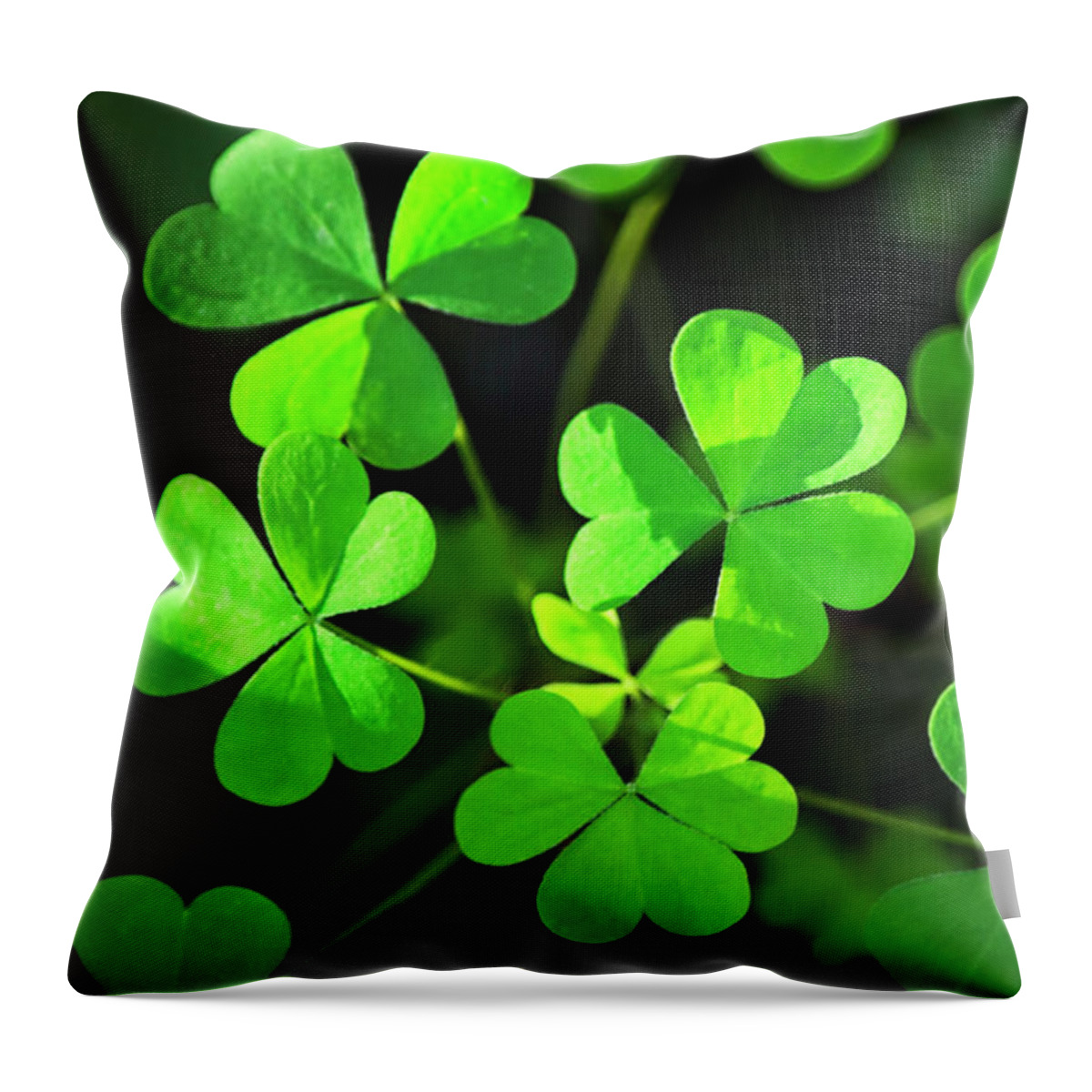 Clover Throw Pillow featuring the photograph Green Clover by Christina Rollo