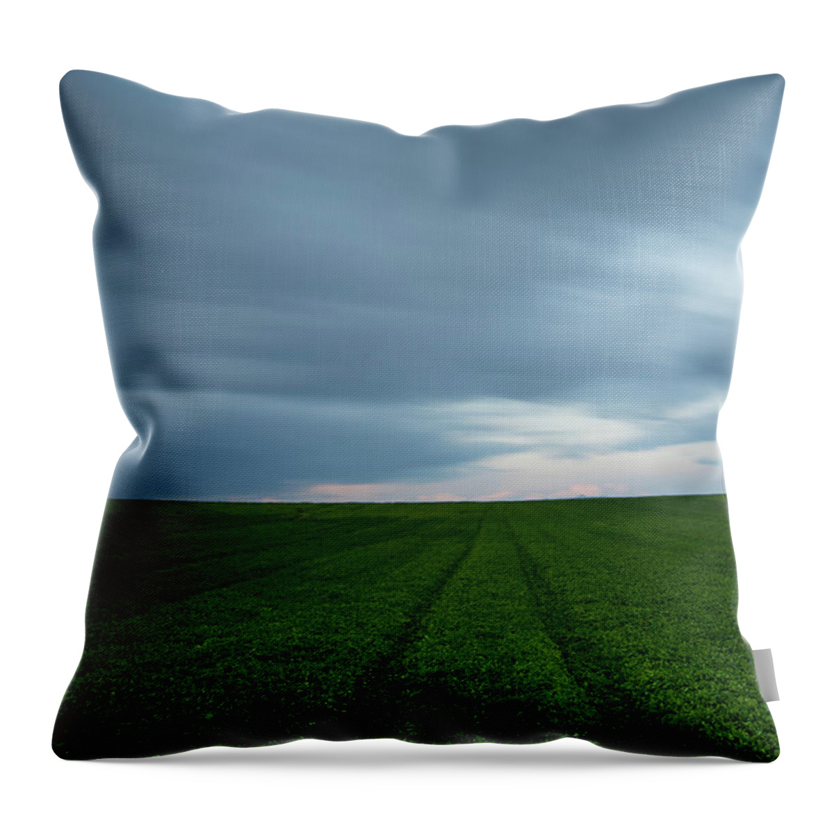 Freedom Throw Pillow featuring the photograph Green field and cloudy sky by Michalakis Ppalis