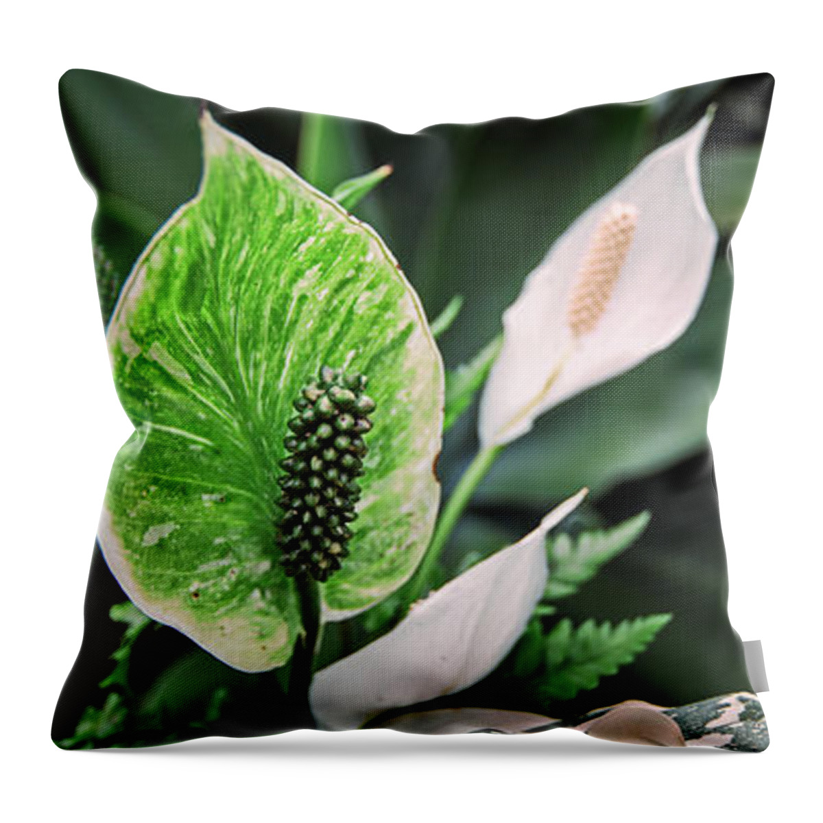 Garden Throw Pillow featuring the photograph Green by Russell Brown