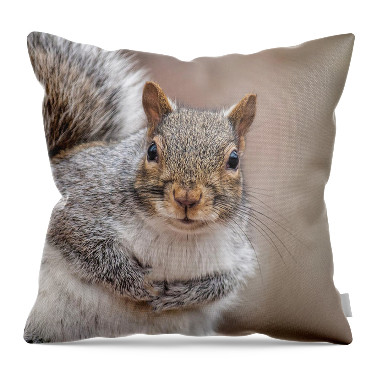 Squirrel Throw Pillow featuring the photograph Greetings by Cathy Kovarik