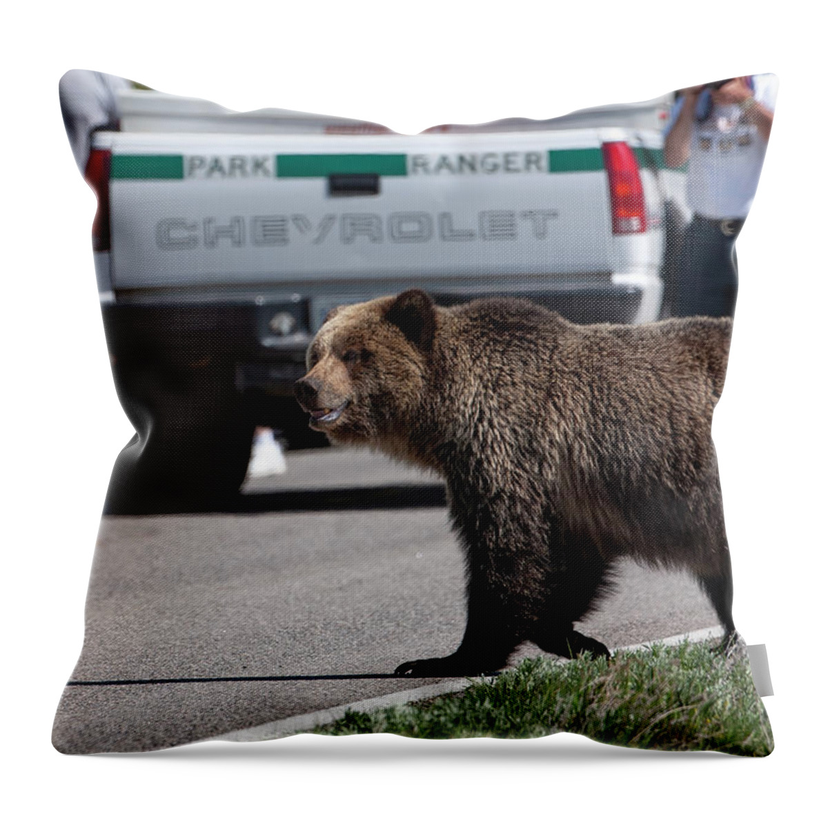 Grizzly Throw Pillow featuring the photograph Grizzly in Yellowstone by Mark Miller