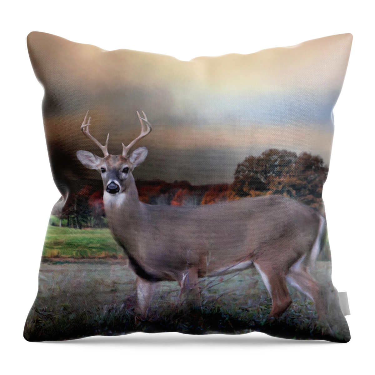 Jai Johnson Throw Pillow featuring the photograph Guardian Of The West Field by Jai Johnson