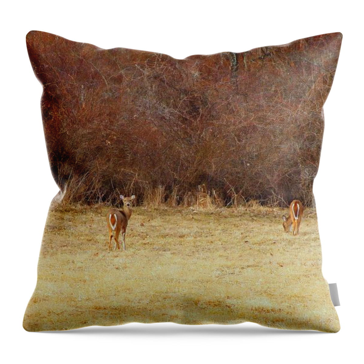 Marcia Lee Jones Throw Pillow featuring the photograph Guarding by Marcia Lee Jones