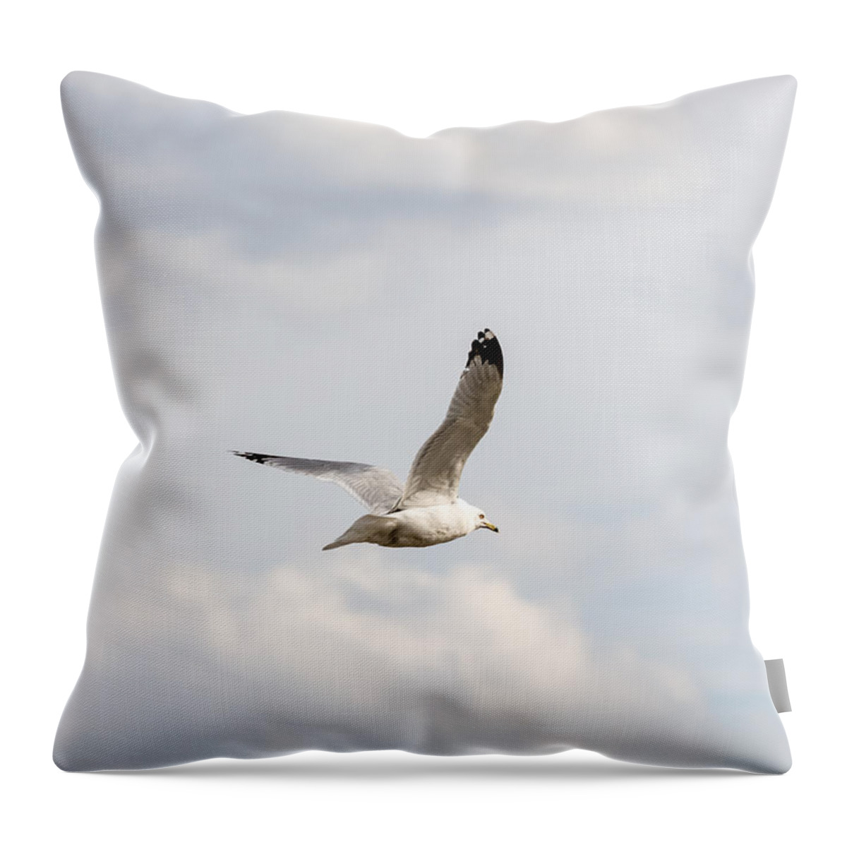 Gull Throw Pillow featuring the photograph Gull in Flight by Holden The Moment