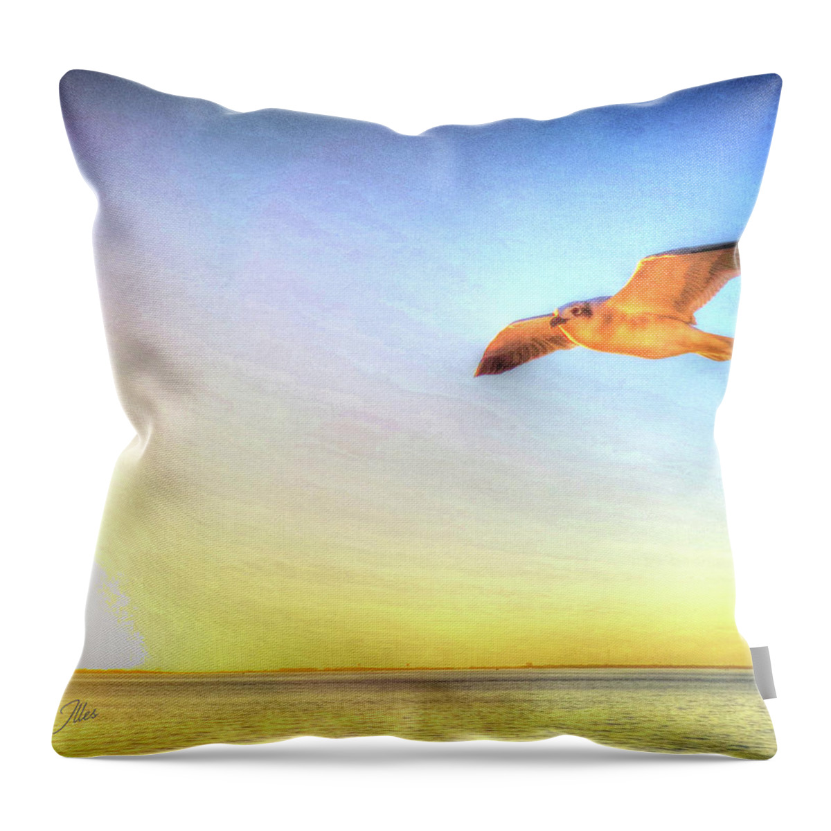 Gull Throw Pillow featuring the digital art Gull In Sky by Kathleen Illes