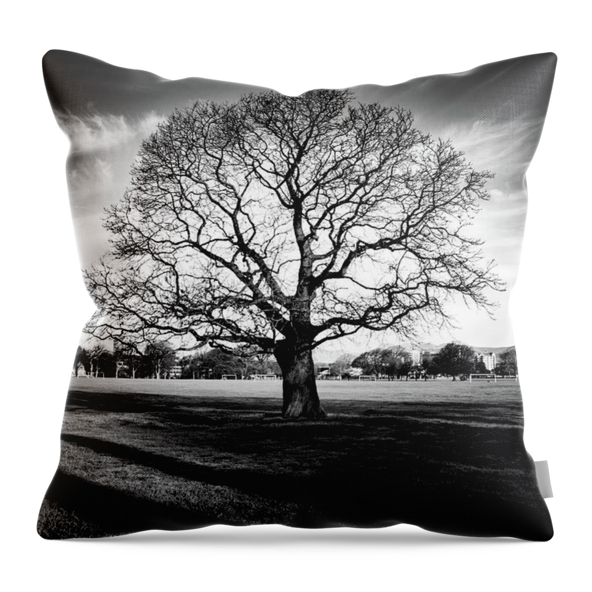 Tree Throw Pillow featuring the photograph Hagley Tree Landscape by Roseanne Jones