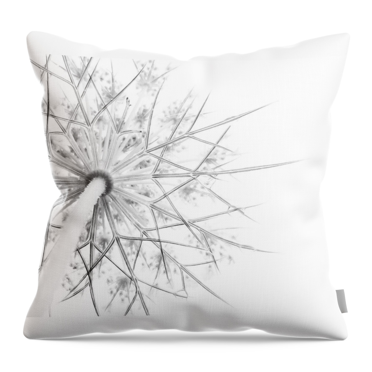 Queen Anne's Lace Throw Pillow featuring the photograph Summer Snow by Holly Ross