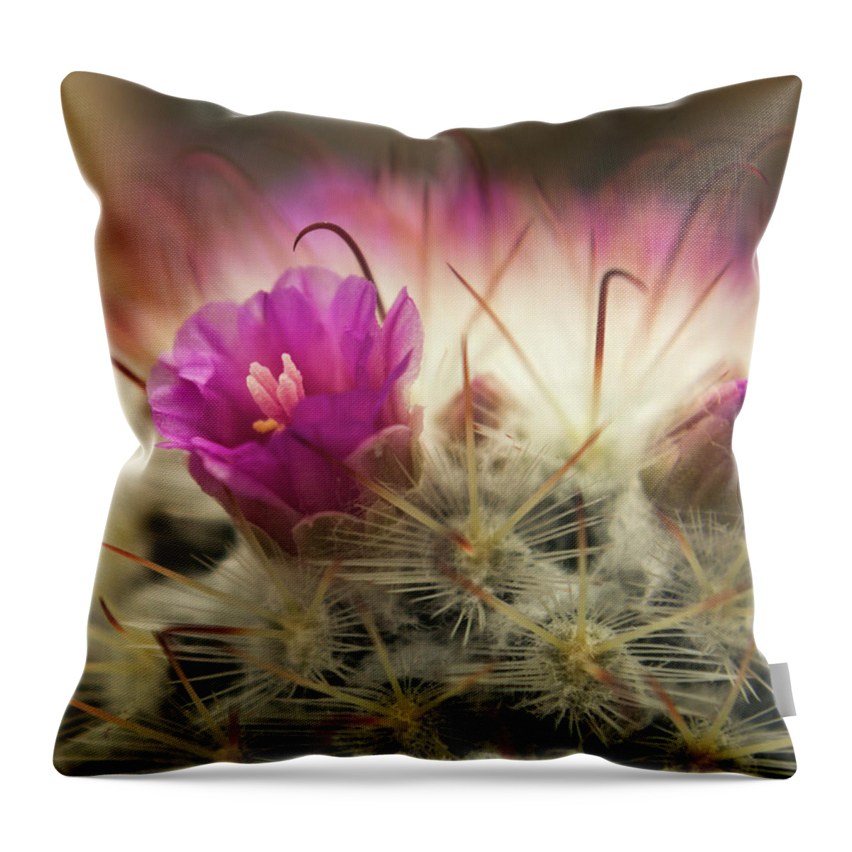 Cactus Throw Pillow featuring the photograph Handle with Care by Holly Ross
