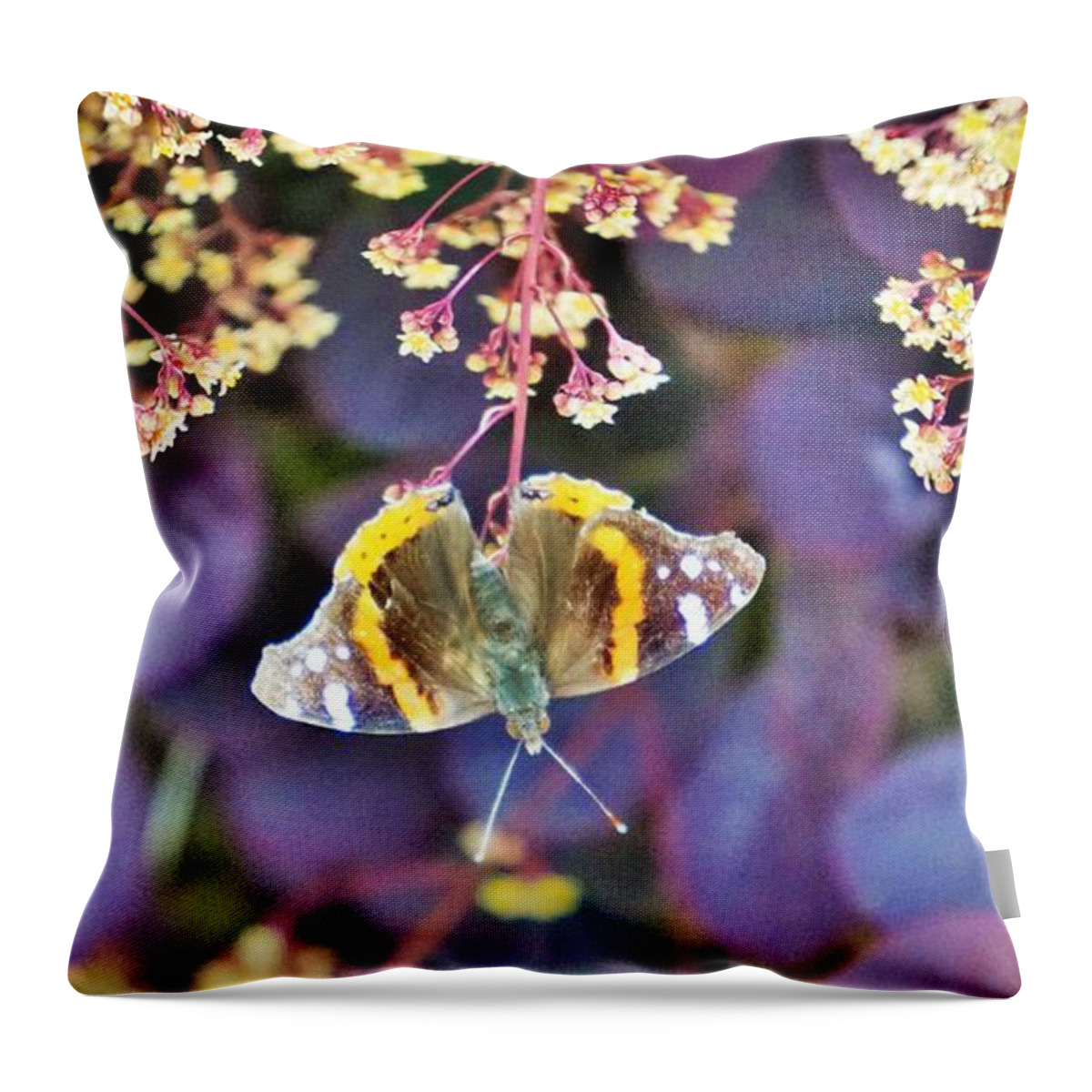 Butterfly Throw Pillow featuring the photograph Hanging out Wichita by Merle Grenz