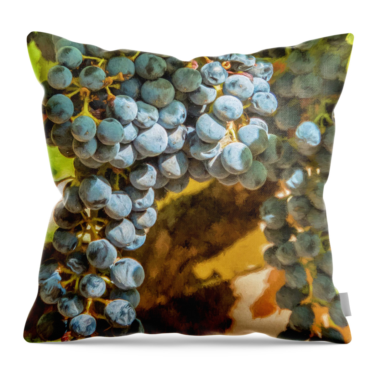 California Throw Pillow featuring the photograph Hanging Wine by David Letts