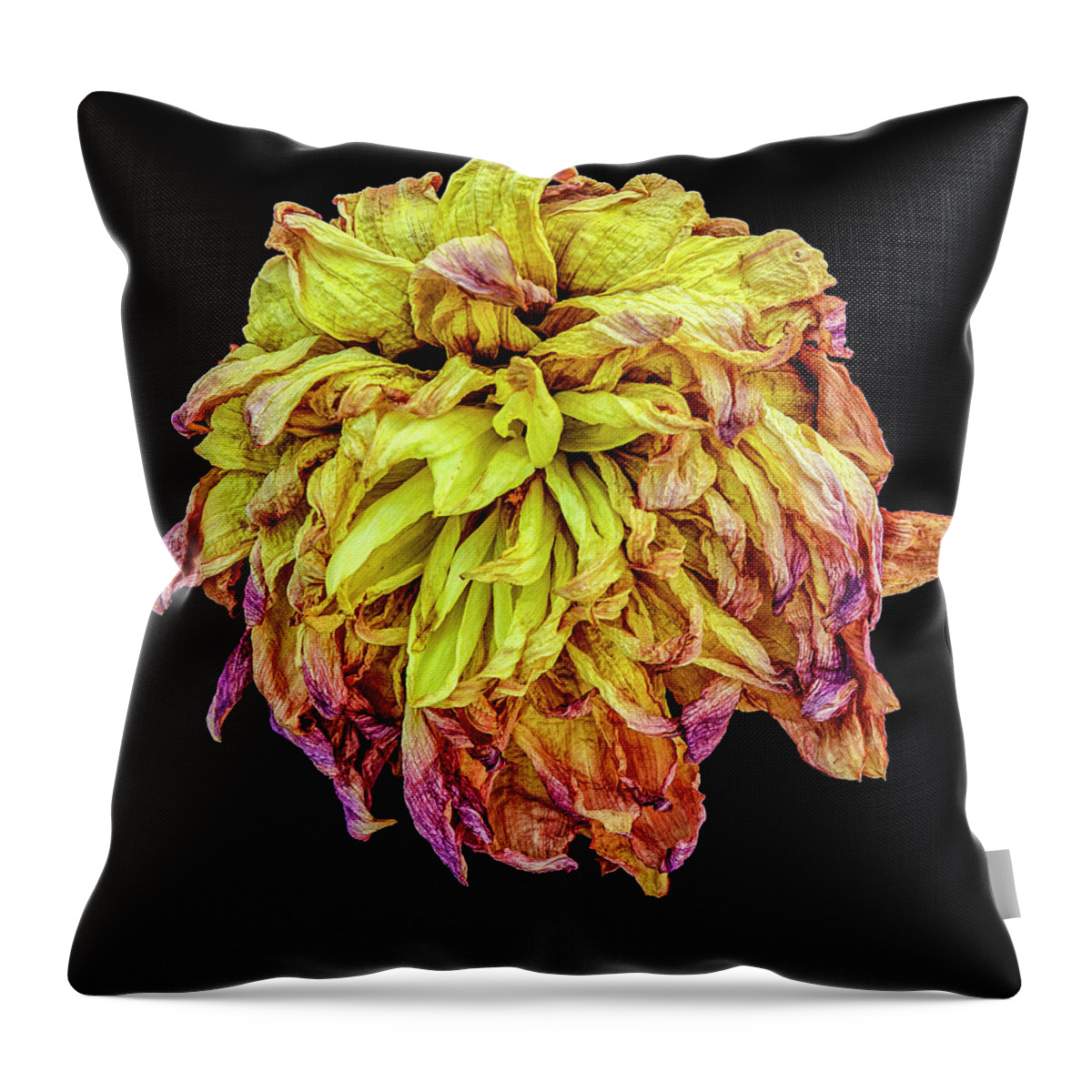 Flower Throw Pillow featuring the photograph Happy After Life 2 by Tony Locke