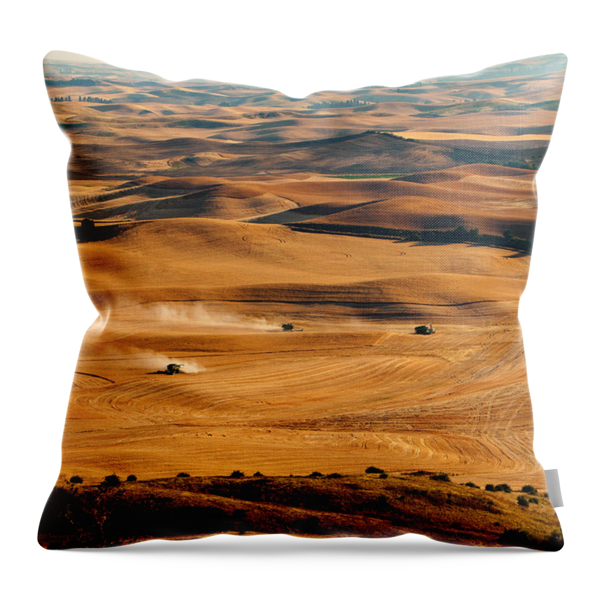 Harvest Throw Pillow featuring the photograph Harvest Overview by Mary Jo Allen