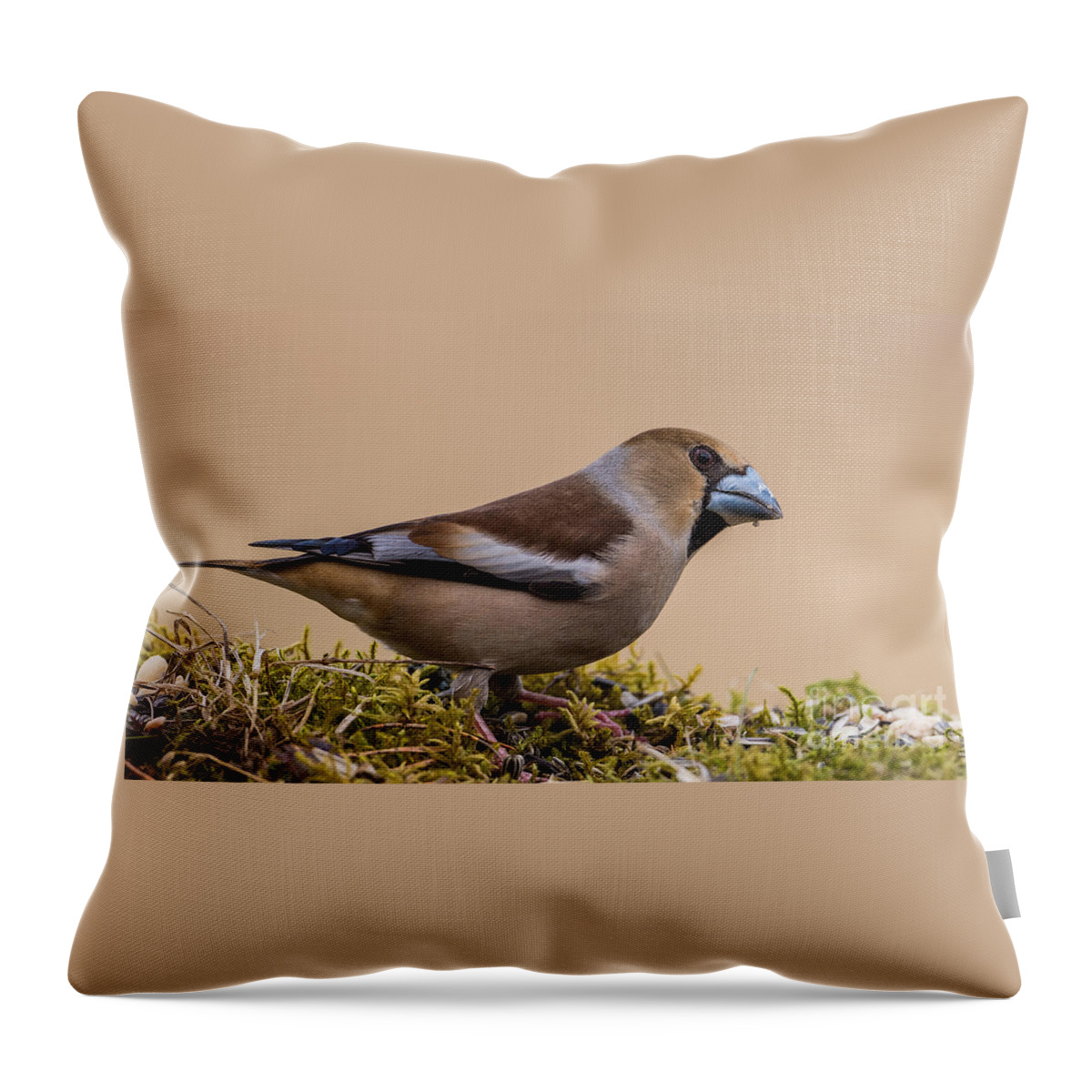Hawfinch's Beak Throw Pillow featuring the photograph Hawfinch's beak by Torbjorn Swenelius