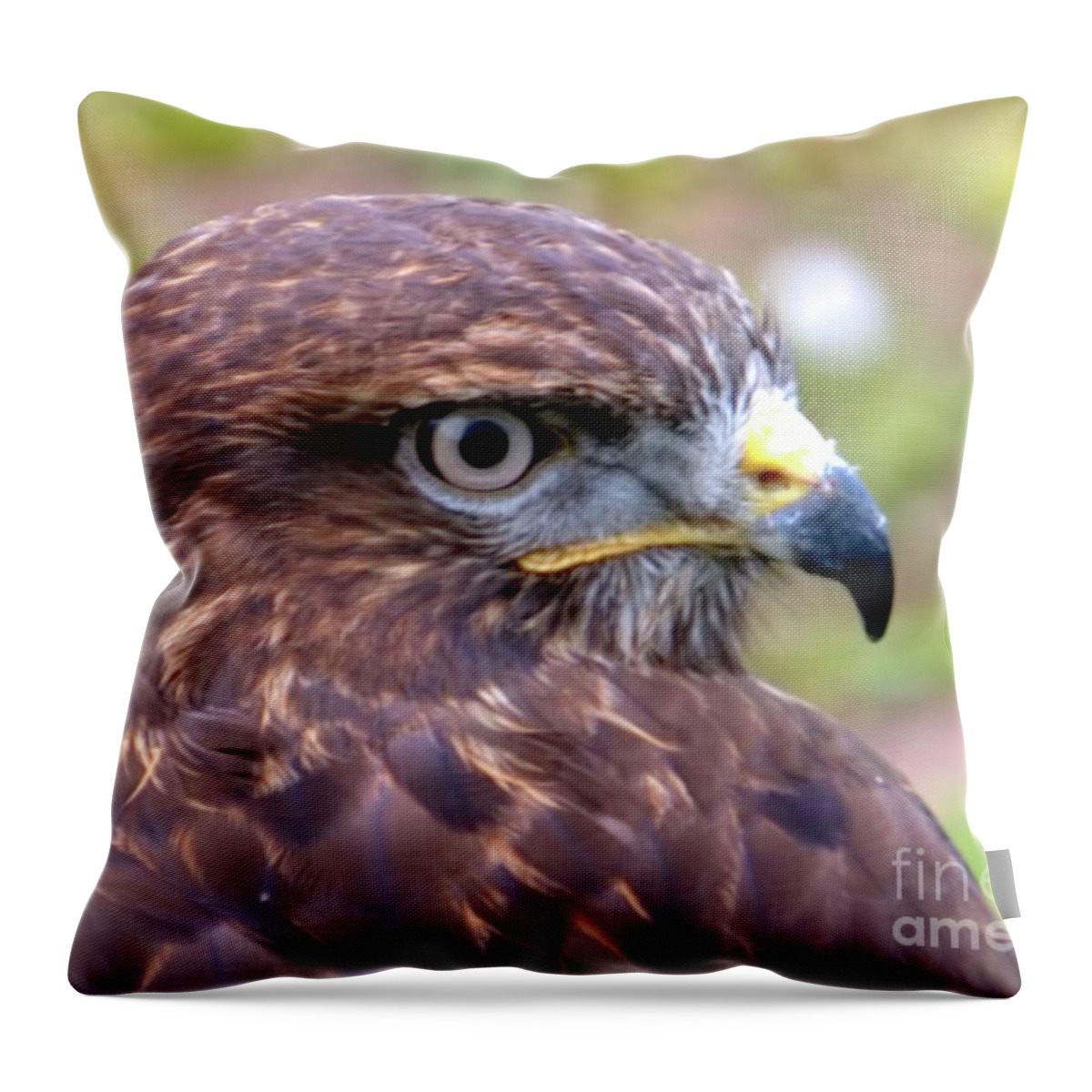 Bird Throw Pillow featuring the photograph Hawks eye view by Stephen Melia