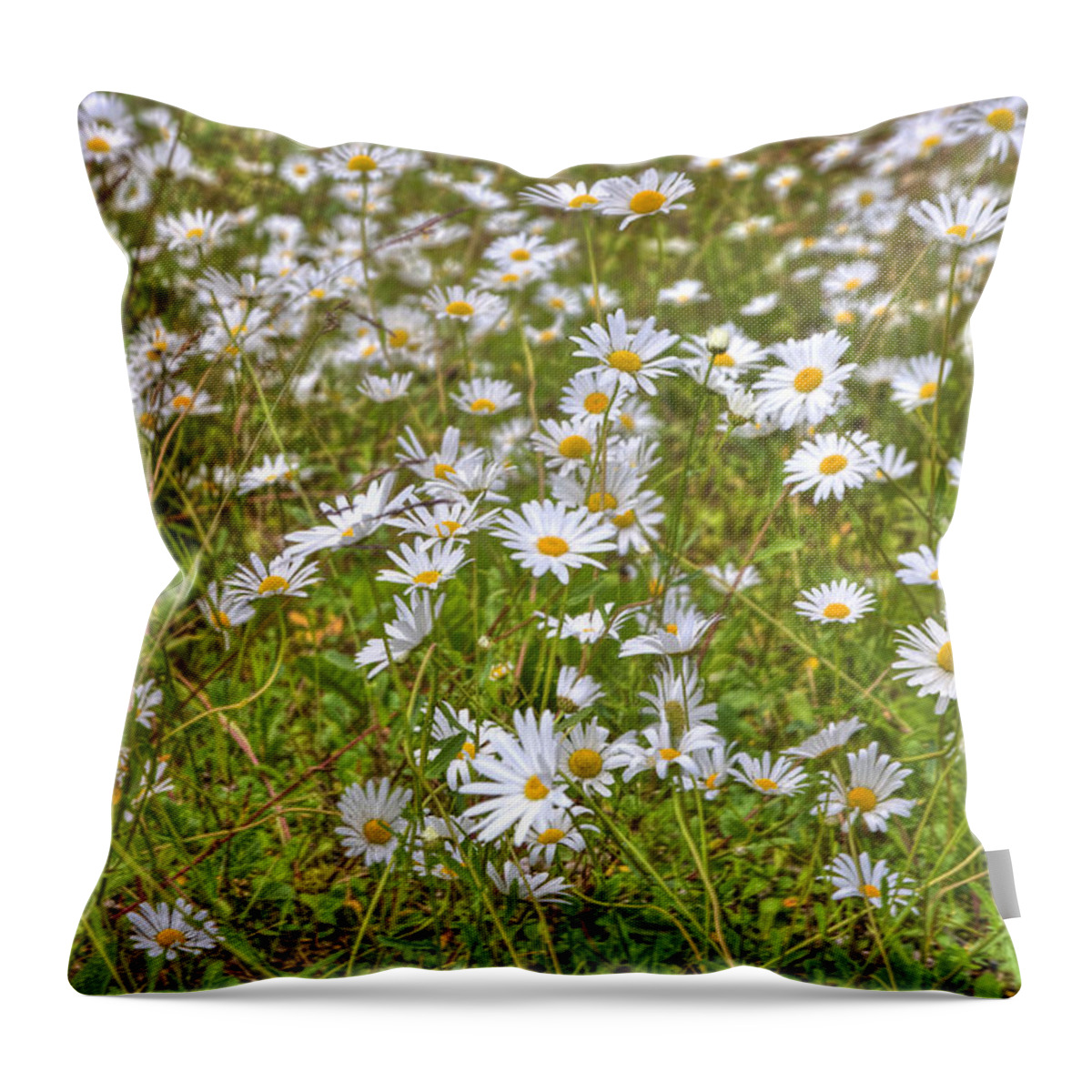 Hdr Throw Pillow featuring the photograph HDR Desert Wildflowers by Matthew Bamberg
