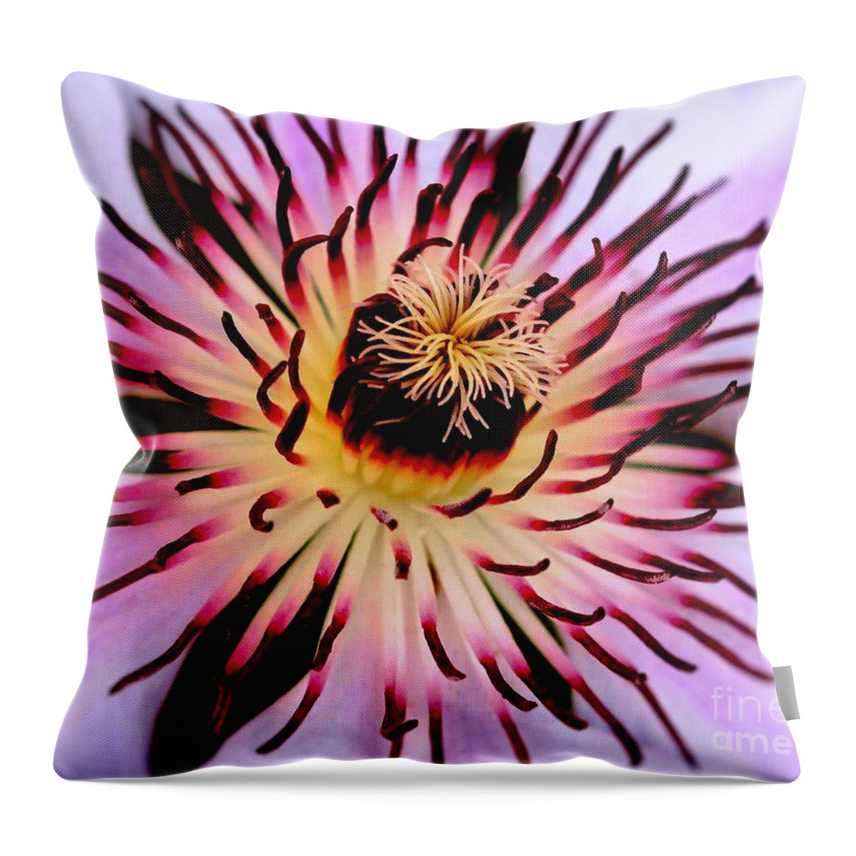 Nelly Moser Throw Pillow featuring the photograph Heart of a Clematis by Baggieoldboy
