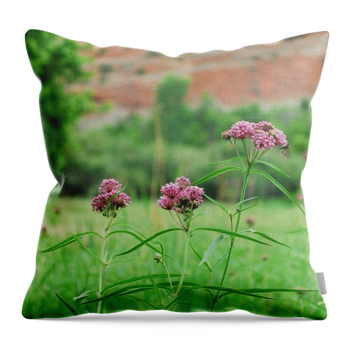 Dinosaur National Monument Throw Pillow featuring the photograph Heat Retreat by Brad Hodges