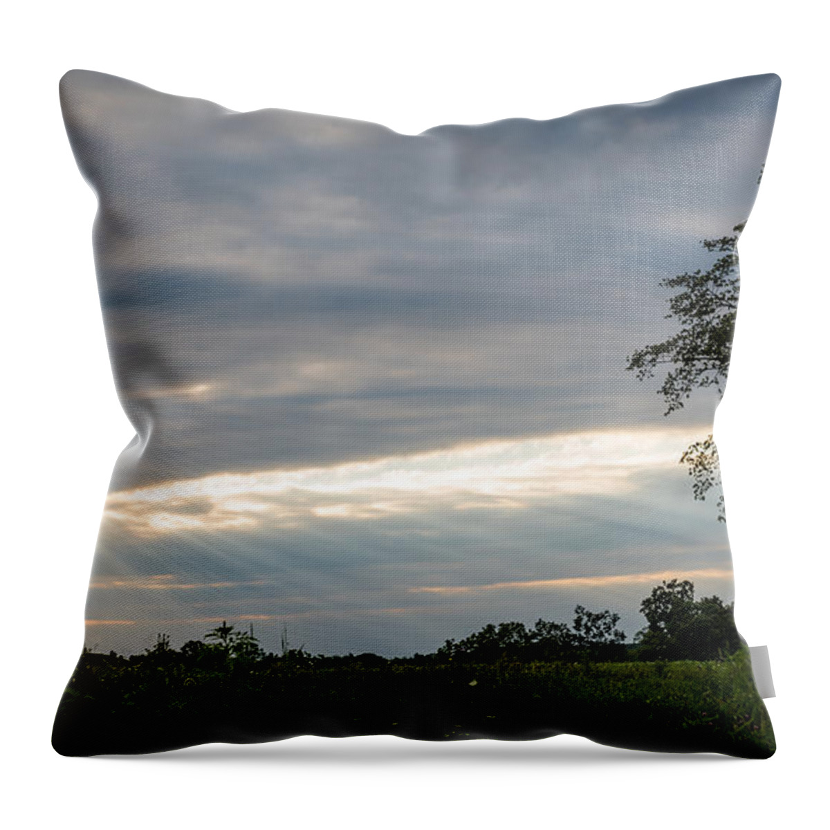 Sky Throw Pillow featuring the photograph Heavenly Rays by Holden The Moment